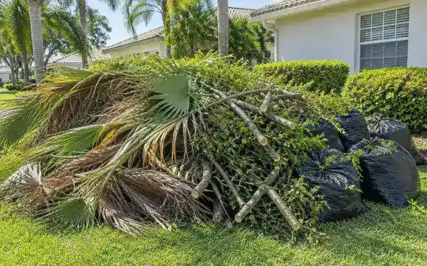 Storm debris removal Palm Beach County FL
